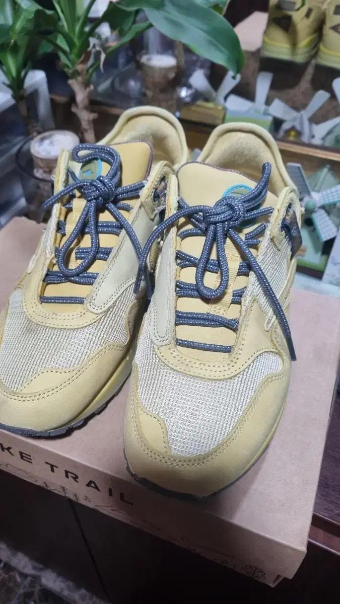 나이키 스캇 캑터스 골드 판매합니다.