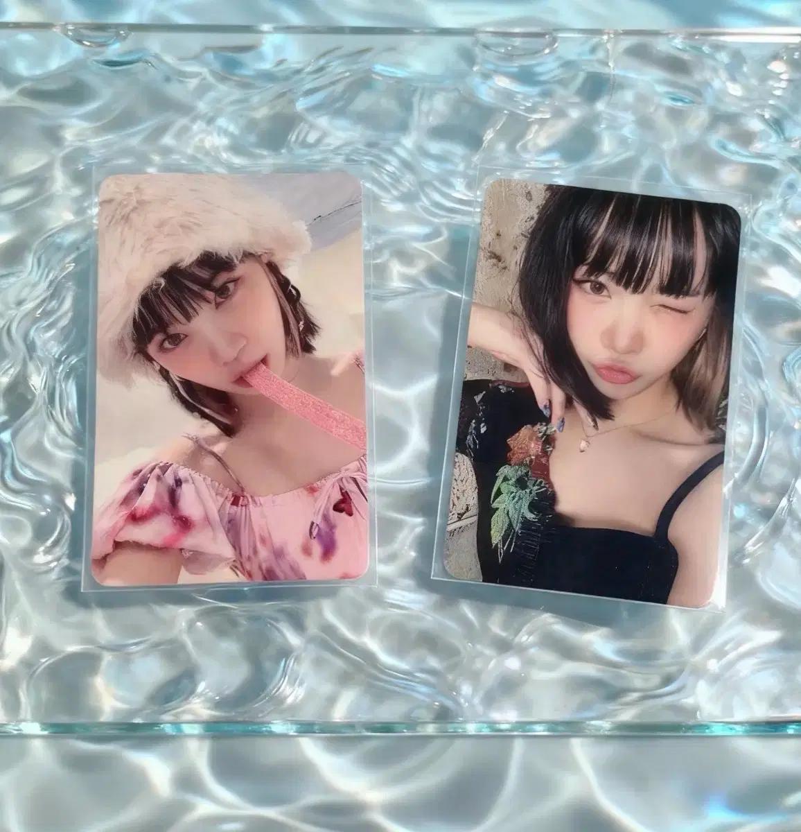 르세라핌 김채원 포카 2 장