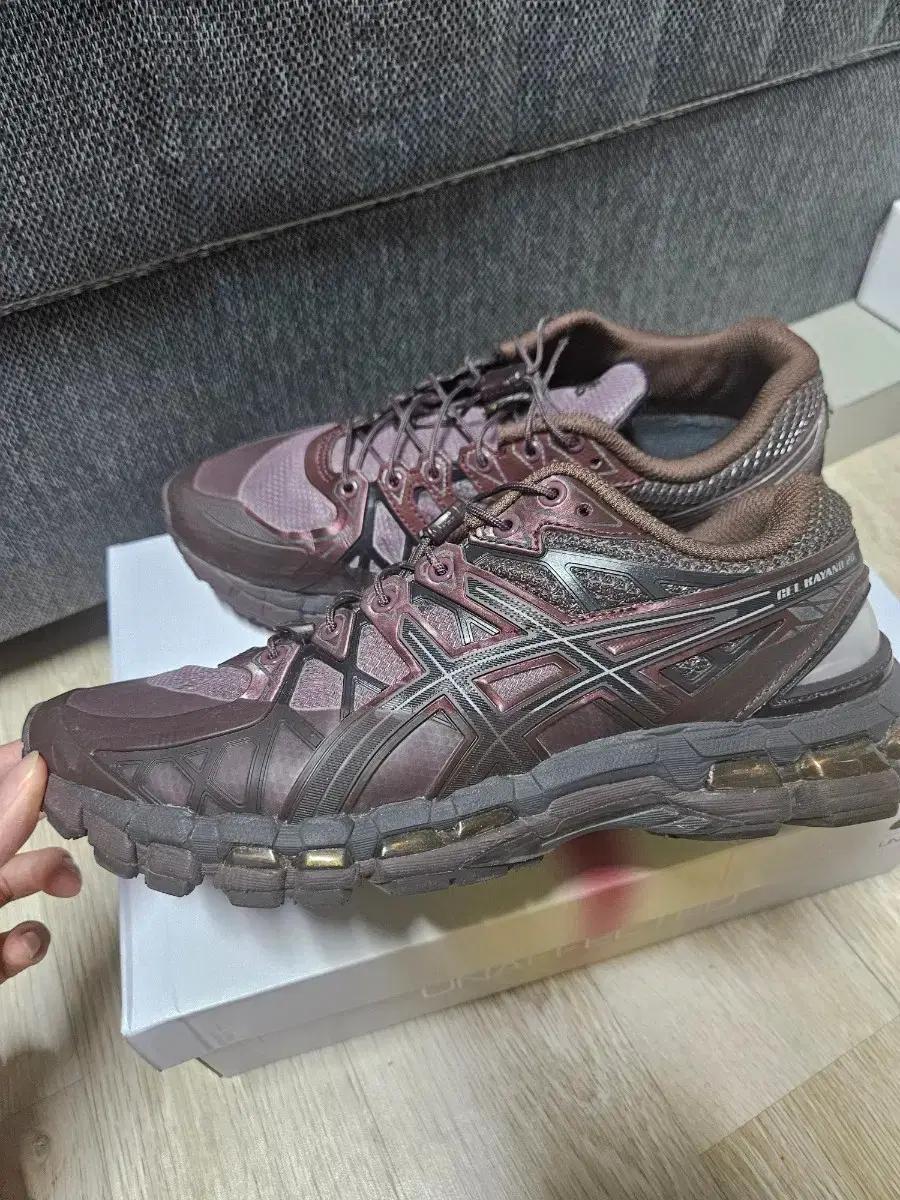 젤 카야노 20 언어펙티드 다크체리블랙 (260)