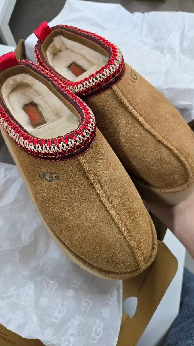 (새상품) UGG 여성 어그 타즈 슬리퍼 체스트넛 US7