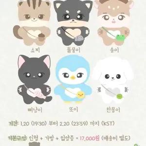 RIIZE 라이즈 쇼타로 쇼찌 10cm 인형 원가이하 양도