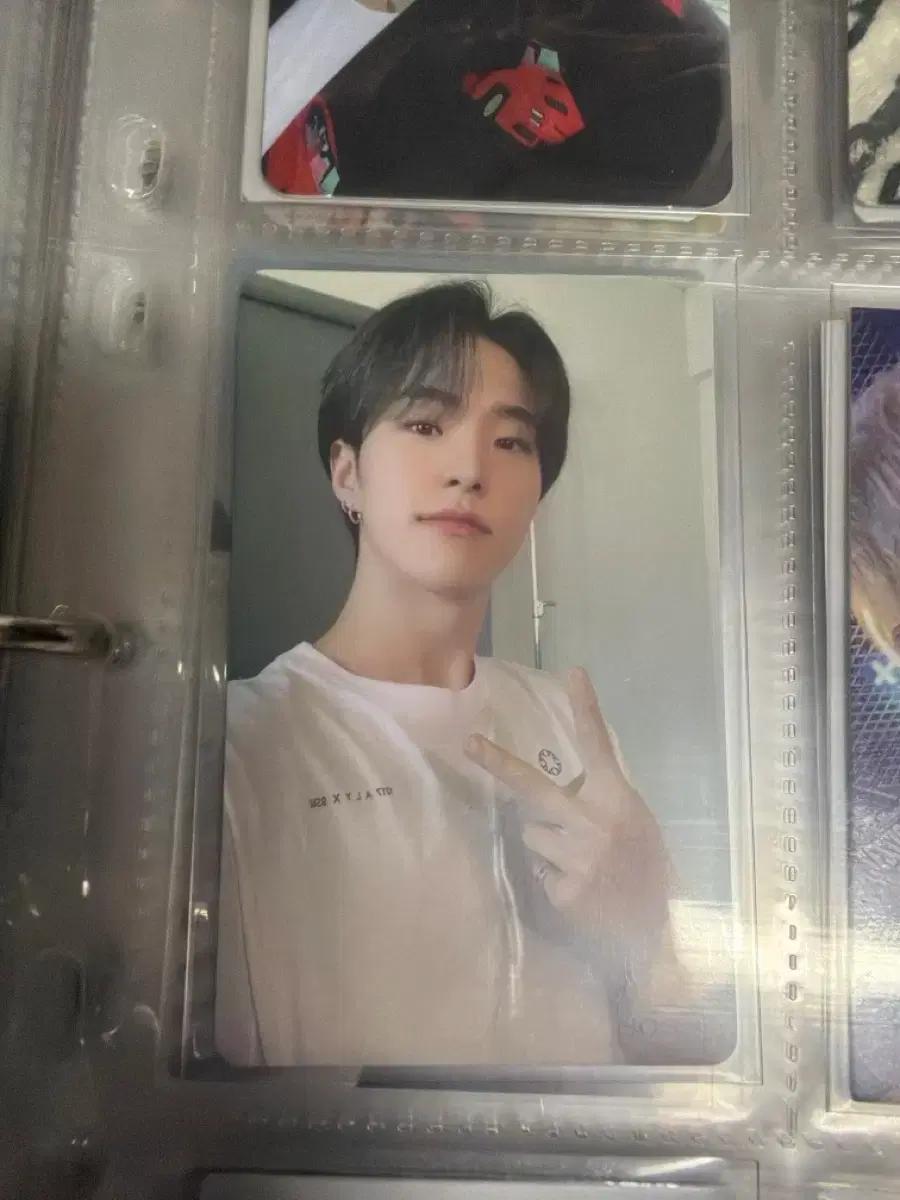 세븐틴 호시 포카 양도
