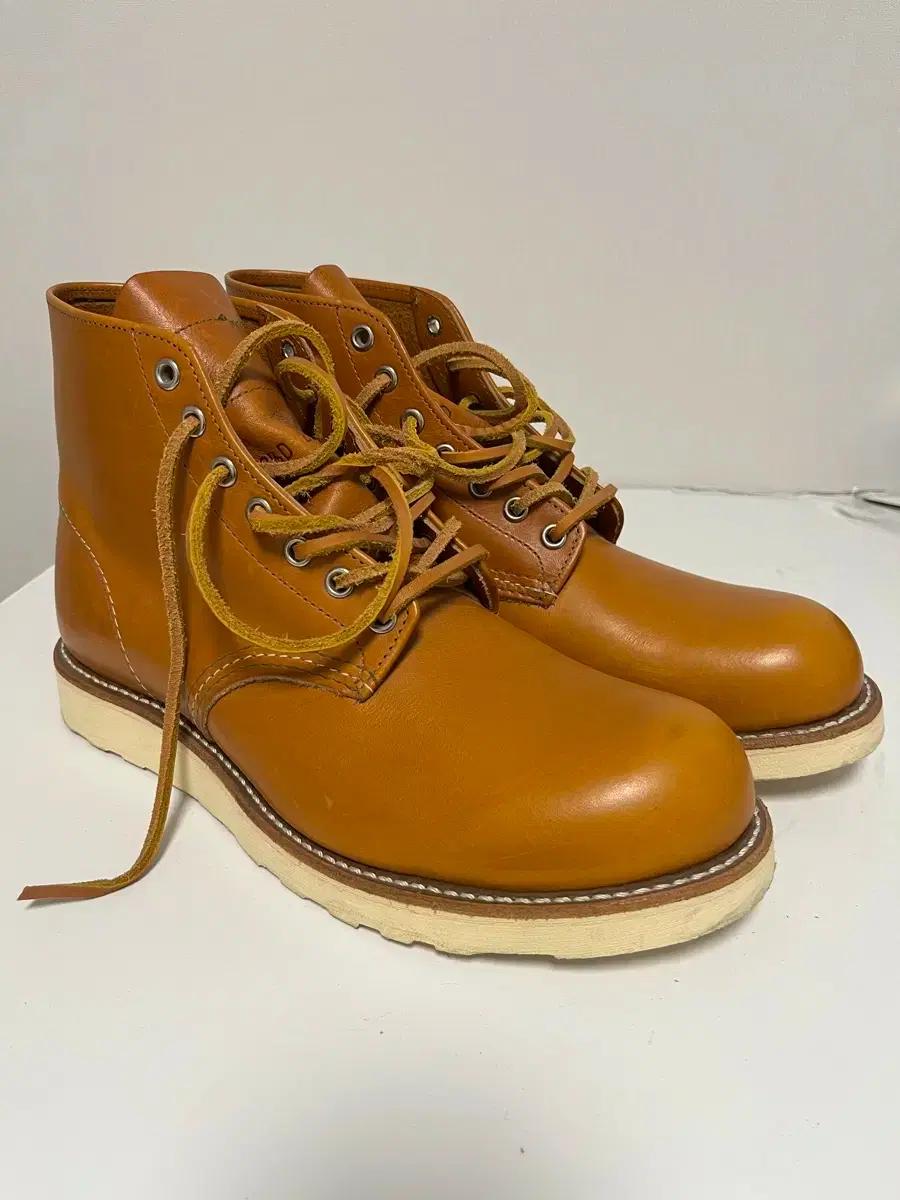 레드윙 아이리쉬세터 9871 265 사이즈 판매!