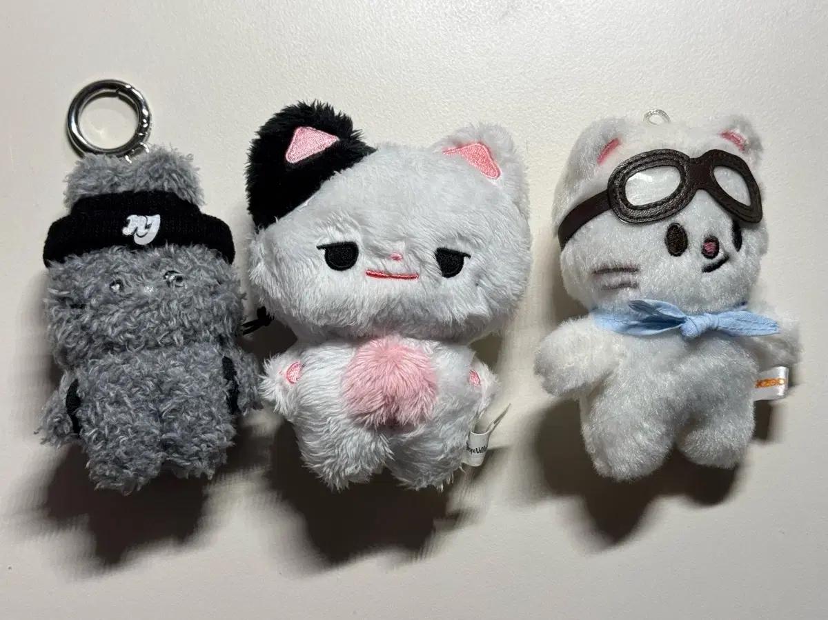 뉴진스 회니니 하현상 하짱냥 스키즈 현진 지니렛 양도