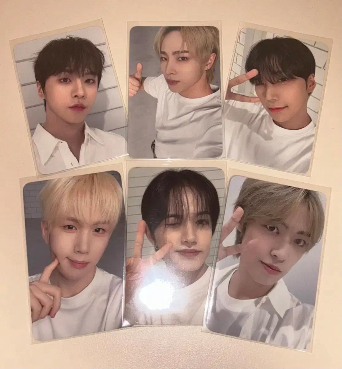 BAE173 배칠삼 엘스 1기 포카 포토카드 일괄