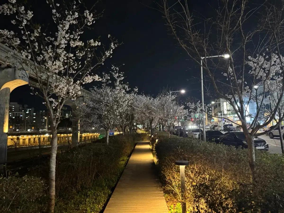 배민 80% 대리주문 구합니다 (배달의민족)