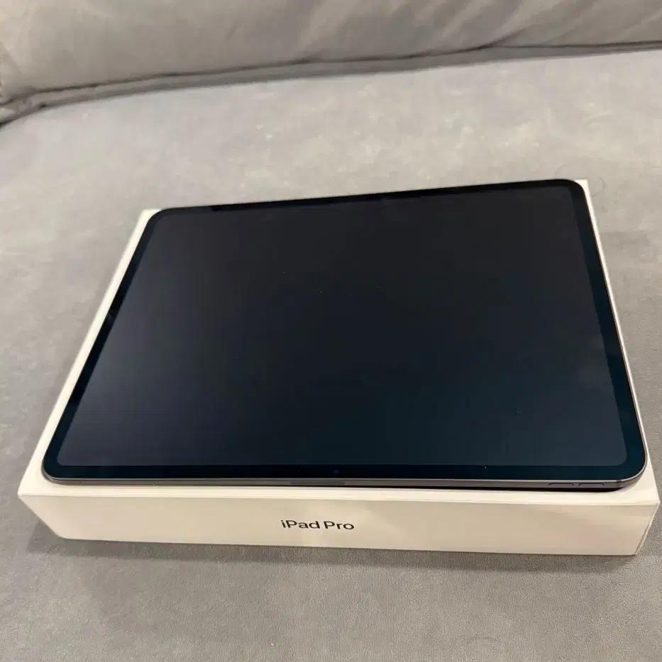 파격 급처분 ) 아이패드PRO 13인치 M4 WIFI 1TB 나노텍스처
