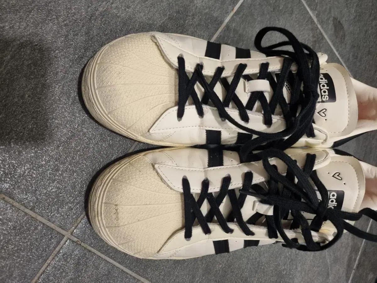 아디다스 슈퍼스타 Andre Saraiva 280