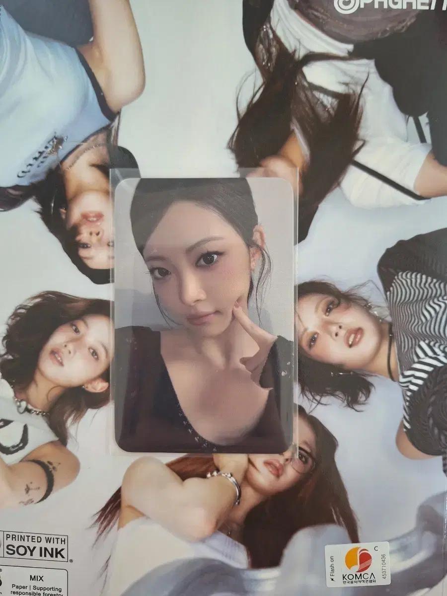 르세라핌 홍은채 스파게티 마뮤테 예판