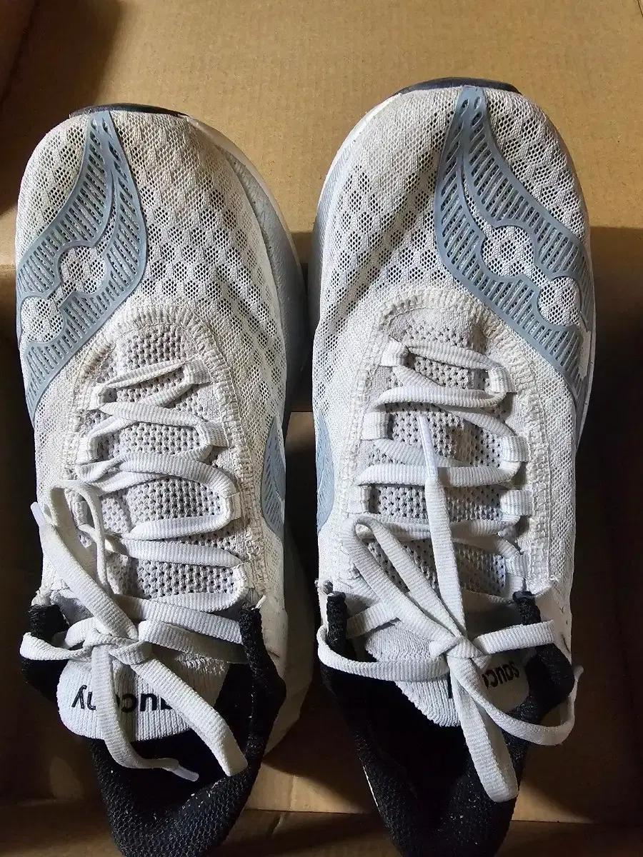 써코니 엔돌핀 프로4 250mm 팔아요