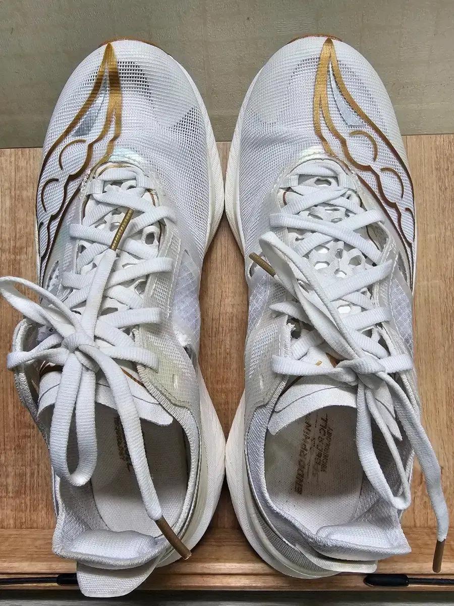 써코니 엘리트 255mm 팔아요