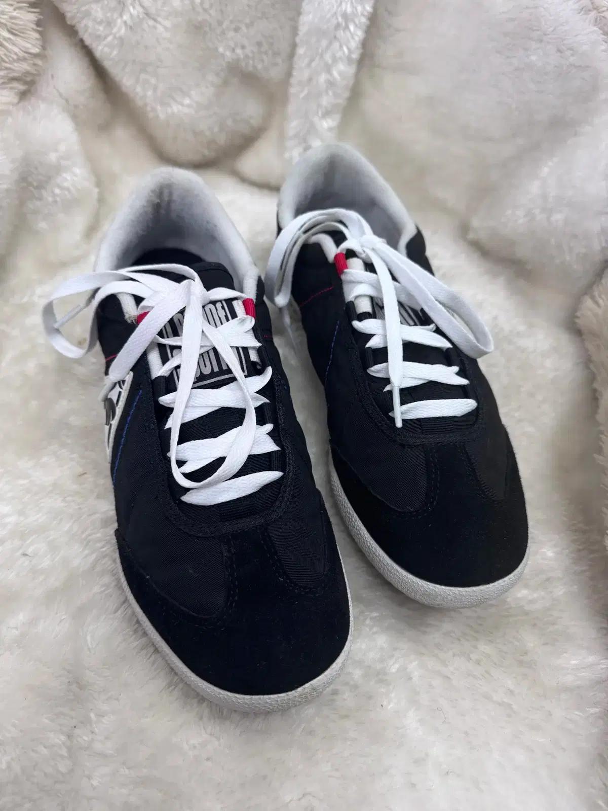 르꼬끄 남성용 캔버스 로우탑 스니커즈 280mm