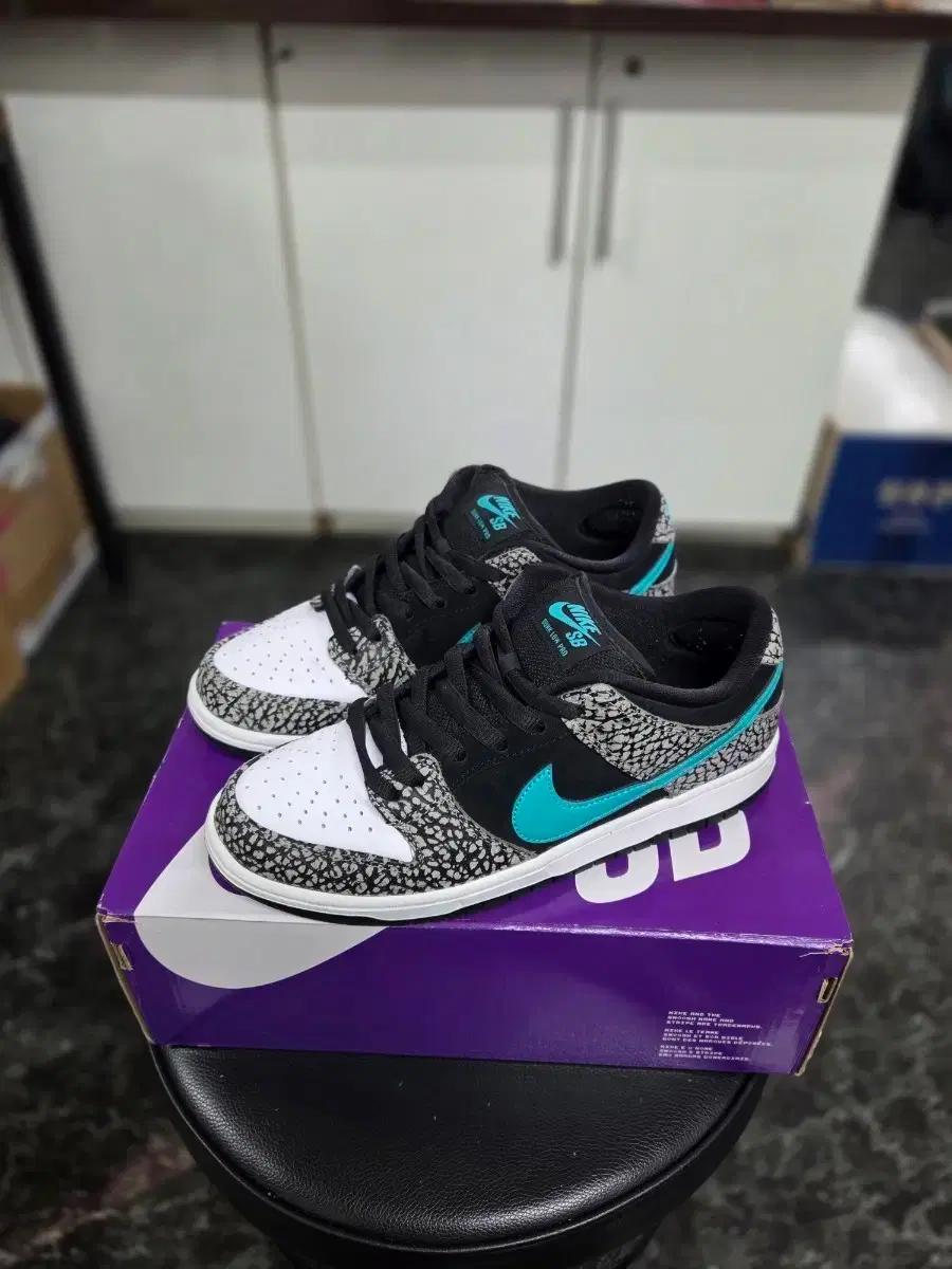 나이키 SB 덩크 로우 프로 클리어 제이드 255