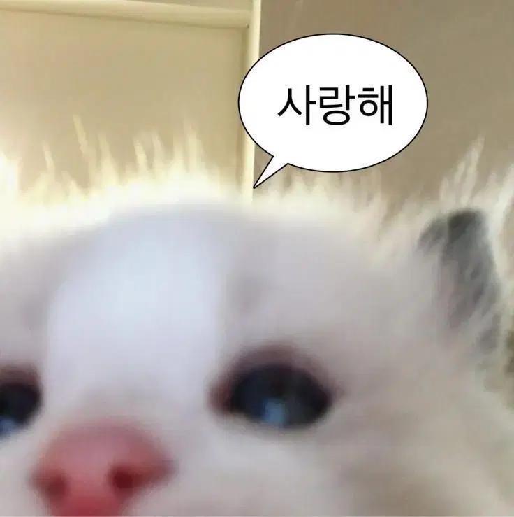 구글플레이 34000원가량 구매합니다