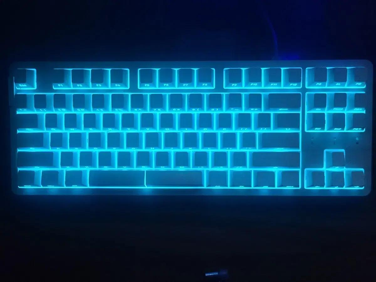 다얼유 래피드 트리거 키보드