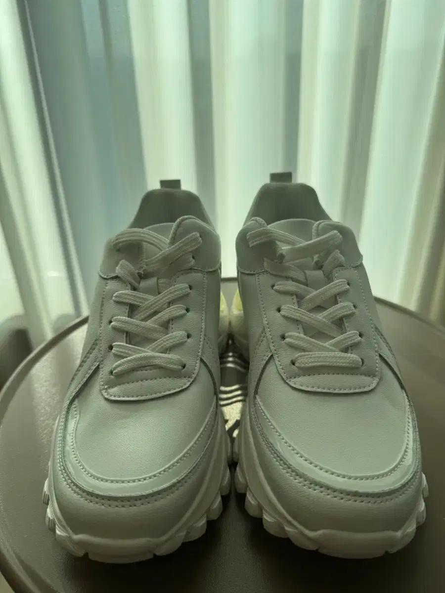 세라 스니커즈 240