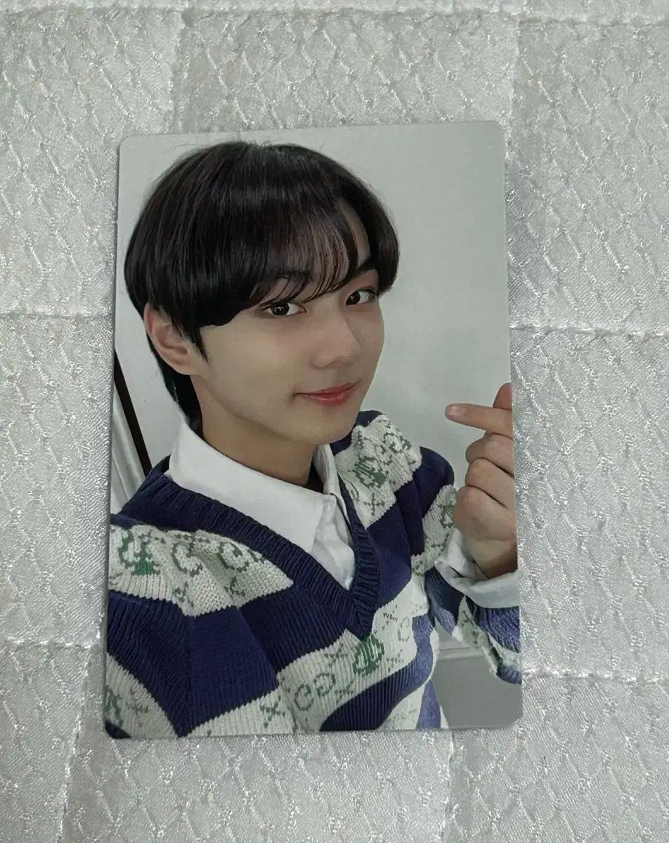 엔하이픈 엔커넥트 정원 디비디 포카