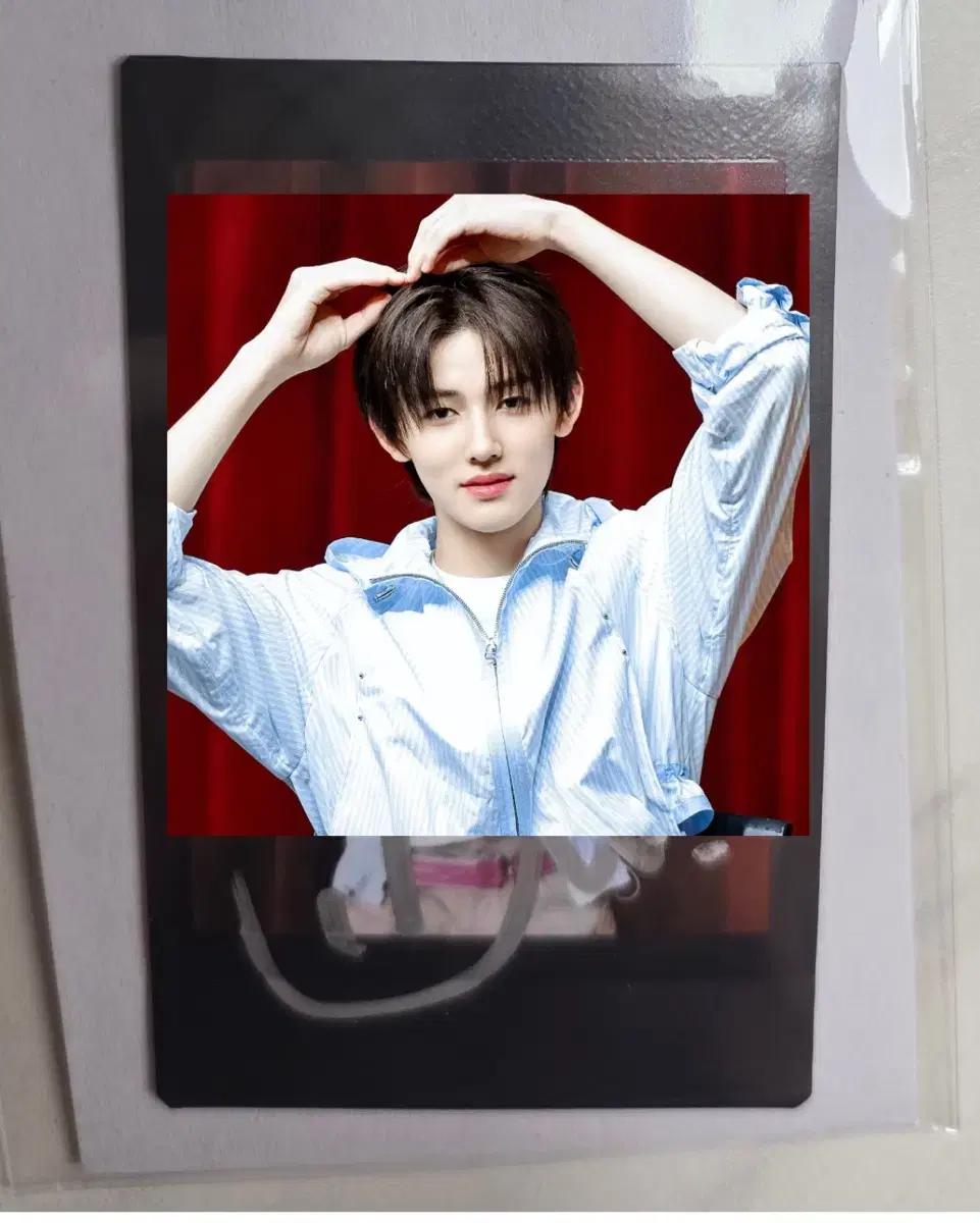 코르티스 성현 싸인폴라로이드 cortis seonghyeon