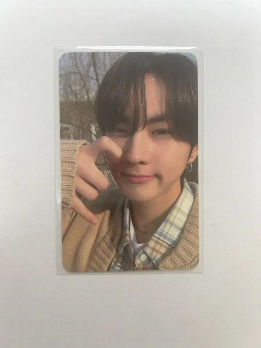 엔하이픈 정원 페이트플러스 엔진존 포카