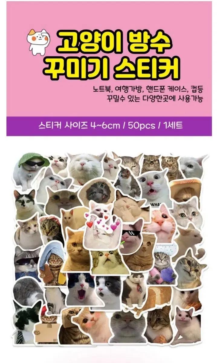 실사 고양이 방수 스티커 50pcs 1세트 (총수량 19세트)