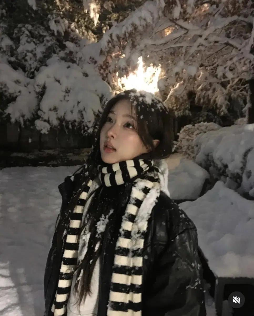 엔조 블루스 스트라이프 머플러(새상품)