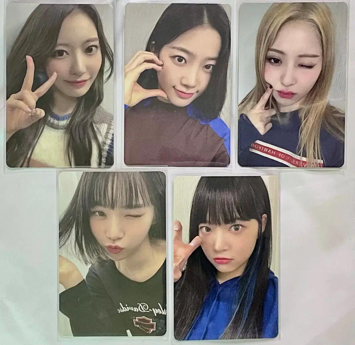 [일괄가격] 르세라핌 멤버쉽 키트 포카 전멤버 양도 사쿠라 김채원 카즈하