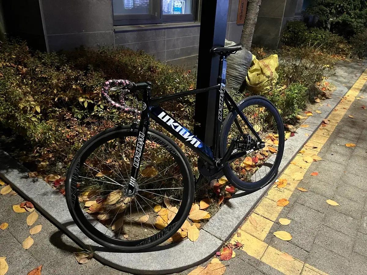 언노운 싱귤러리티2