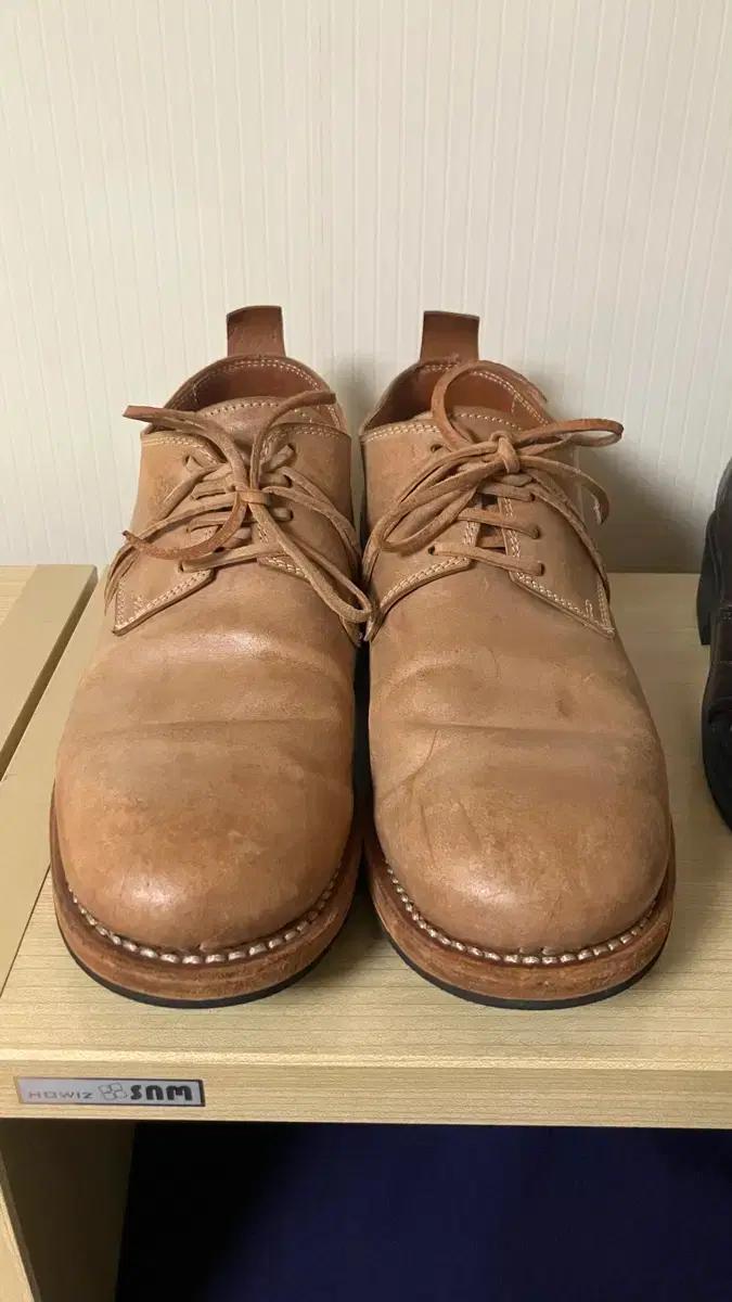 [41] 구이디 로셀리니 1907 더비 브라운