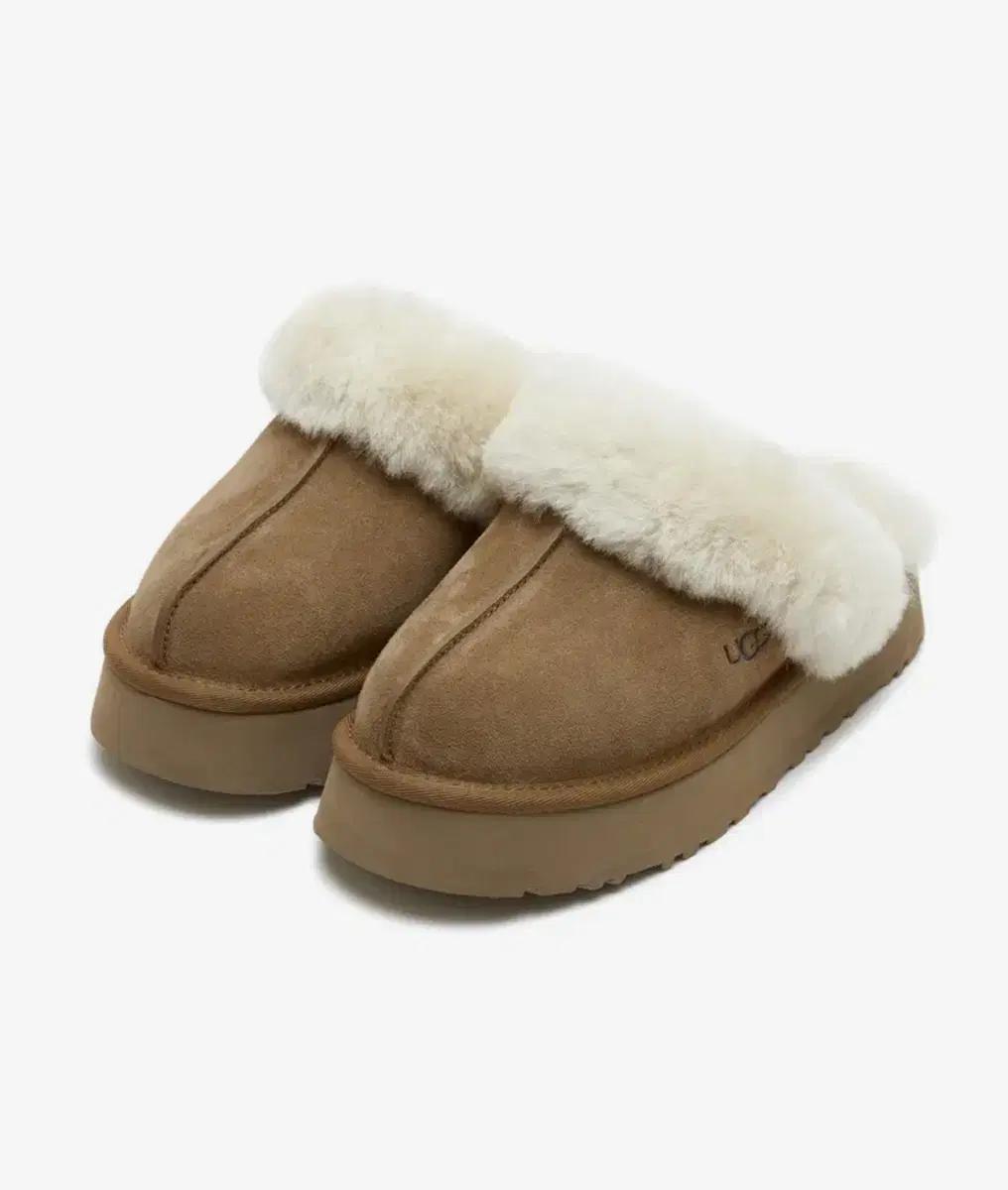 Ugg 어그 슬리퍼 디스케트 240 w7