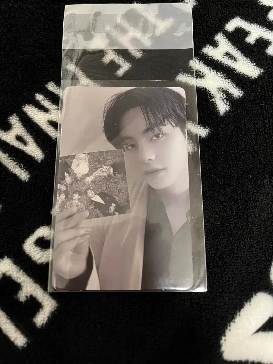 BTS 방탄소년단 proof 프루프 미니포카 뷔 태형