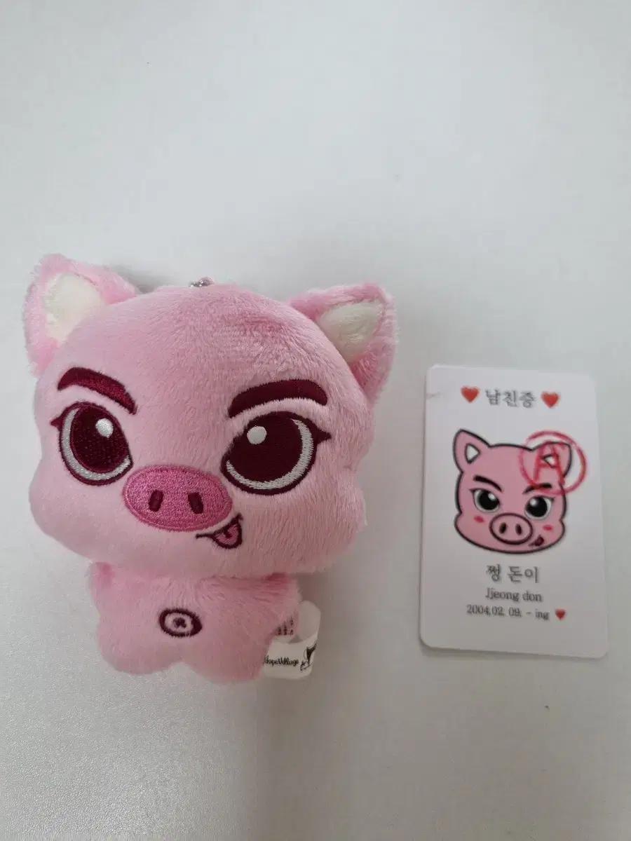 엔하이픈 양정원 쩡돈이 인형 판매 개봉전시