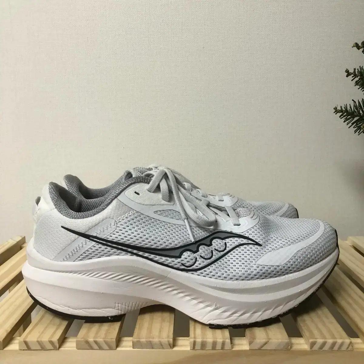 써코니 액손3 250mm