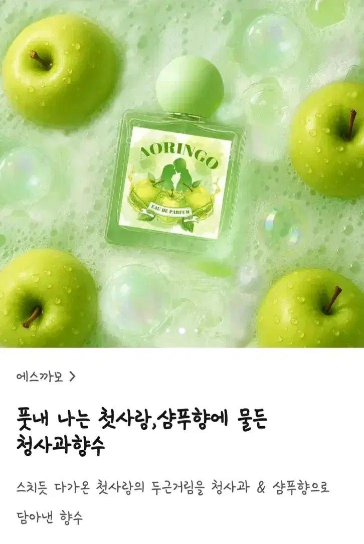텀블벅 향수) 에스까모 아오링고 청사과 향수 50ml