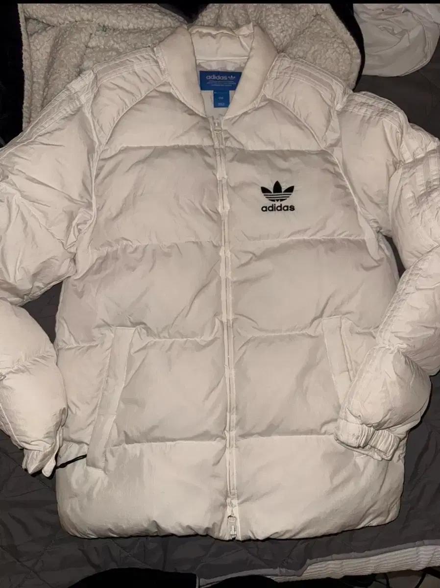 아디다스 슈퍼스타 숏패딩