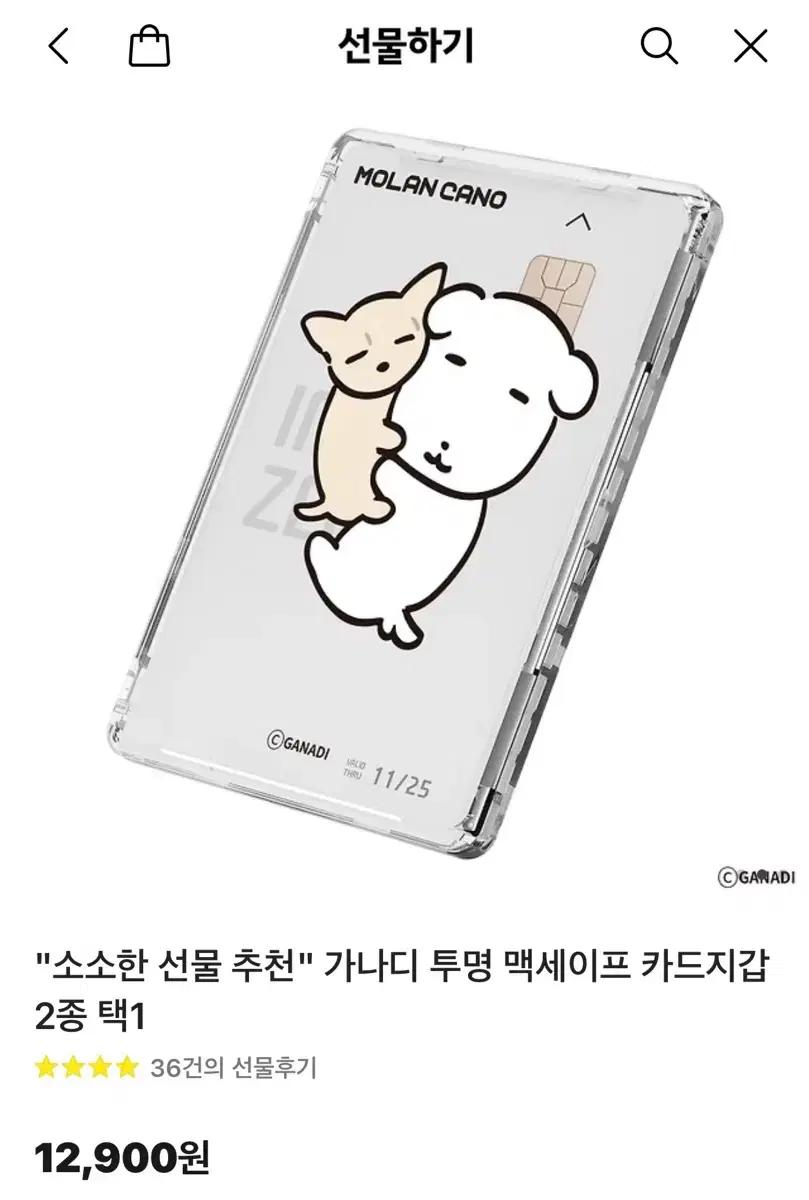 가나디 맥세이프 카드지갑