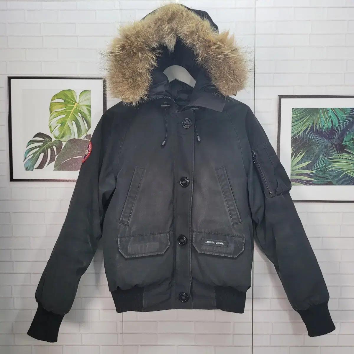 캐나다구스 칠리왁 다운 숏 패딩 자켓 봄버 S사이즈