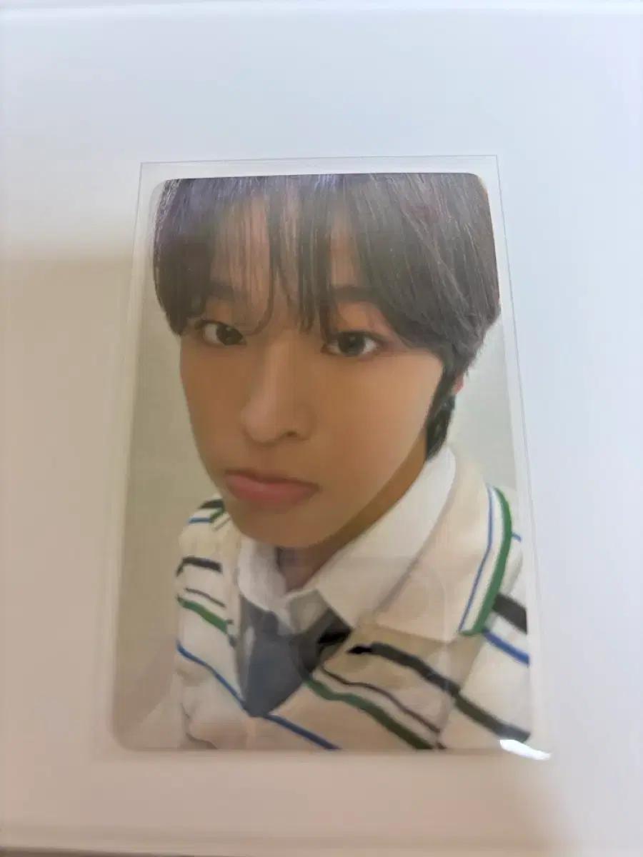 엔시티위시 일본투어 our wish 6000엔 특전 포카