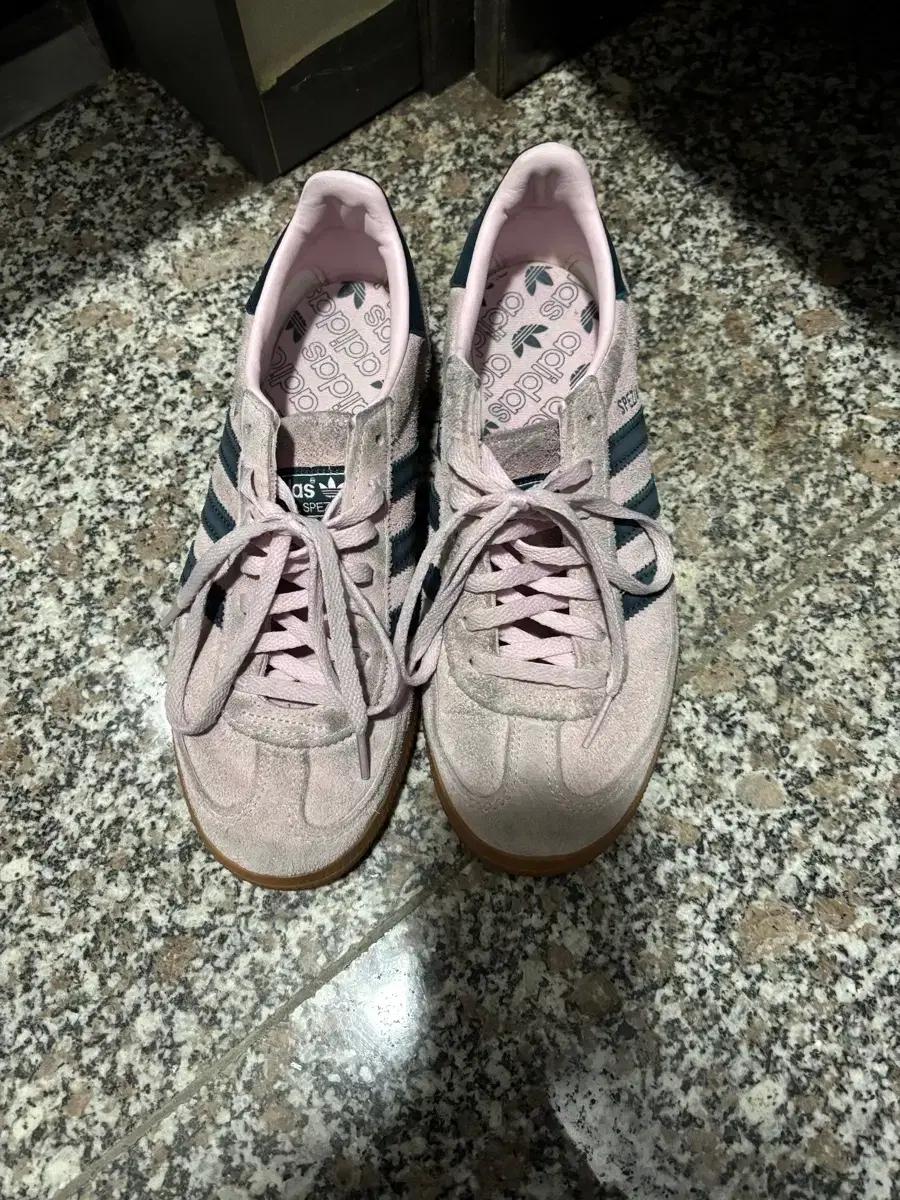 아디다스 스페지알 핑크 240사이즈