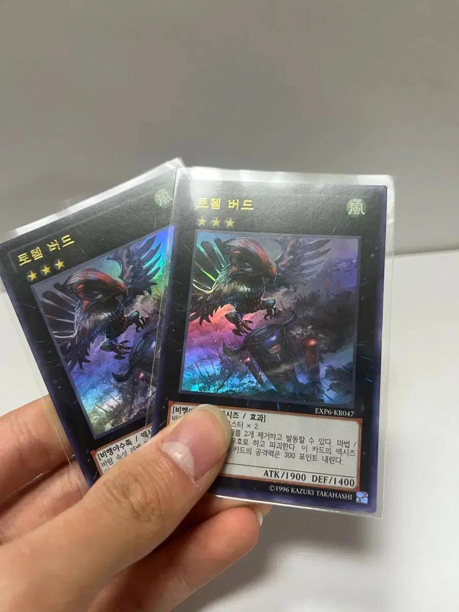 유희왕 토템 버드 울레 EXP6