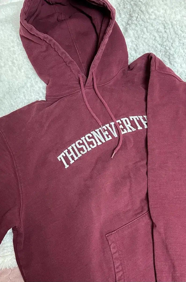 디네댓 버건디 후드티