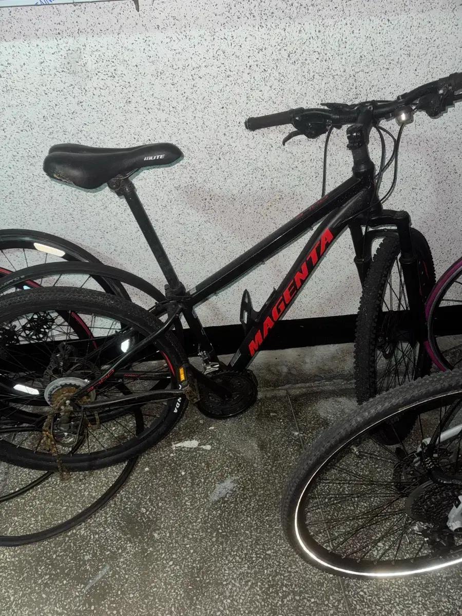 MTB ㅍㅍ