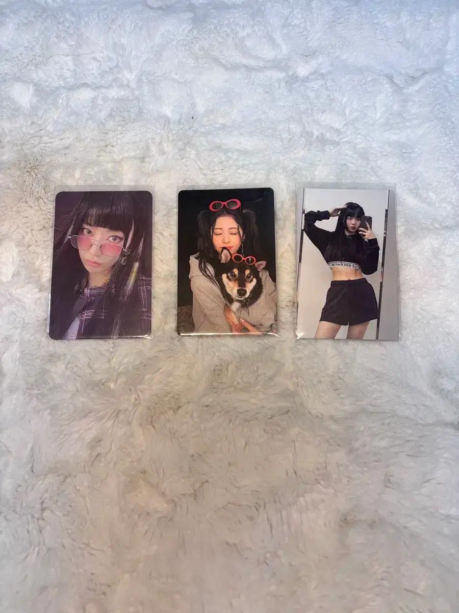 르세라핌 포카 일괄