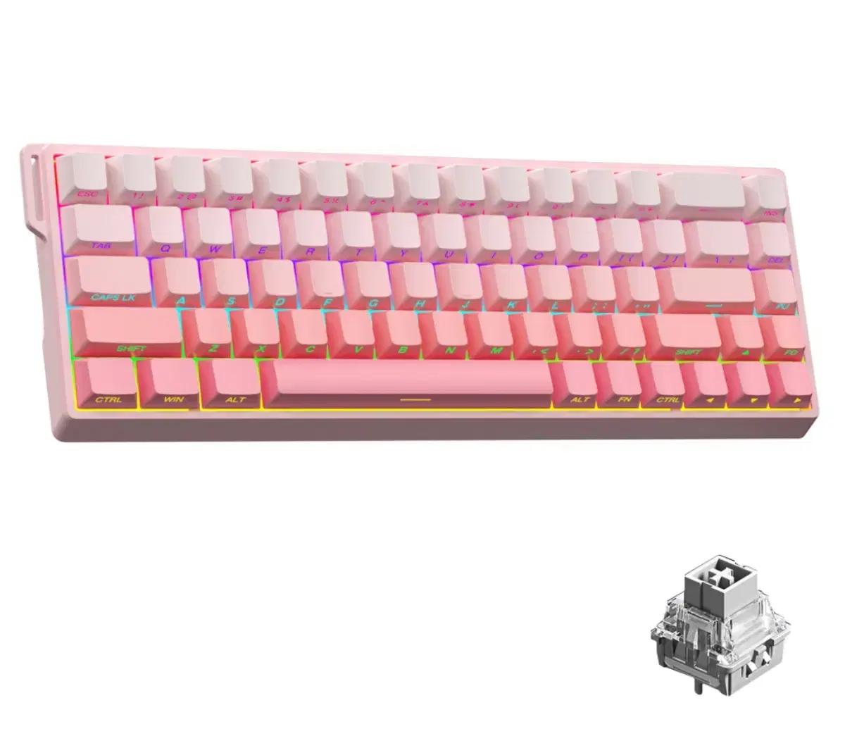 독거미 AULA WIN 68HE PRO MAX 래피드 키보드