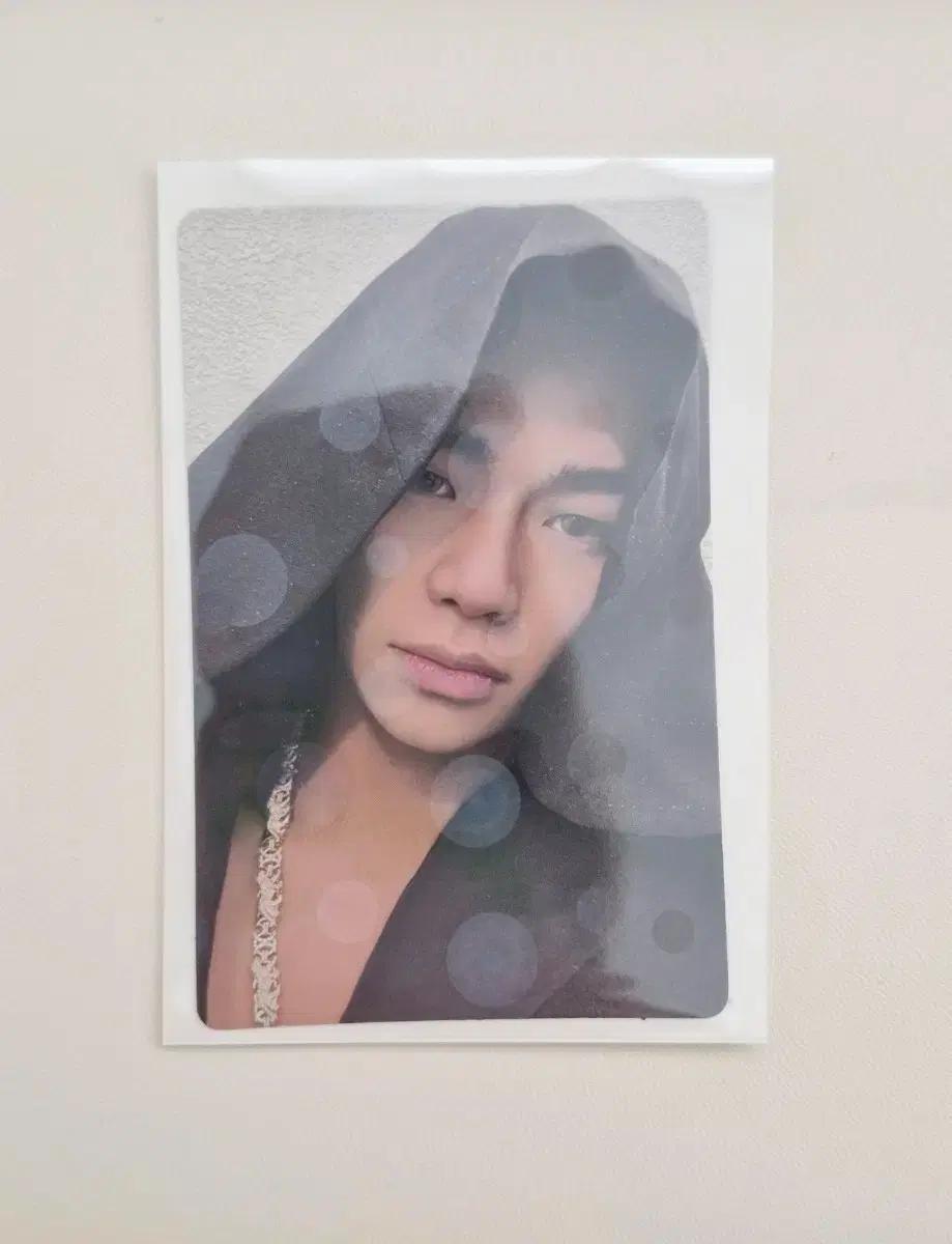 올데이프로젝트 타잔 포카