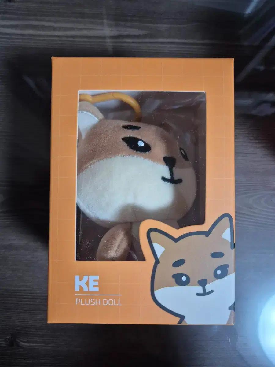 데이식스 데니멀즈 재판 2020년 케