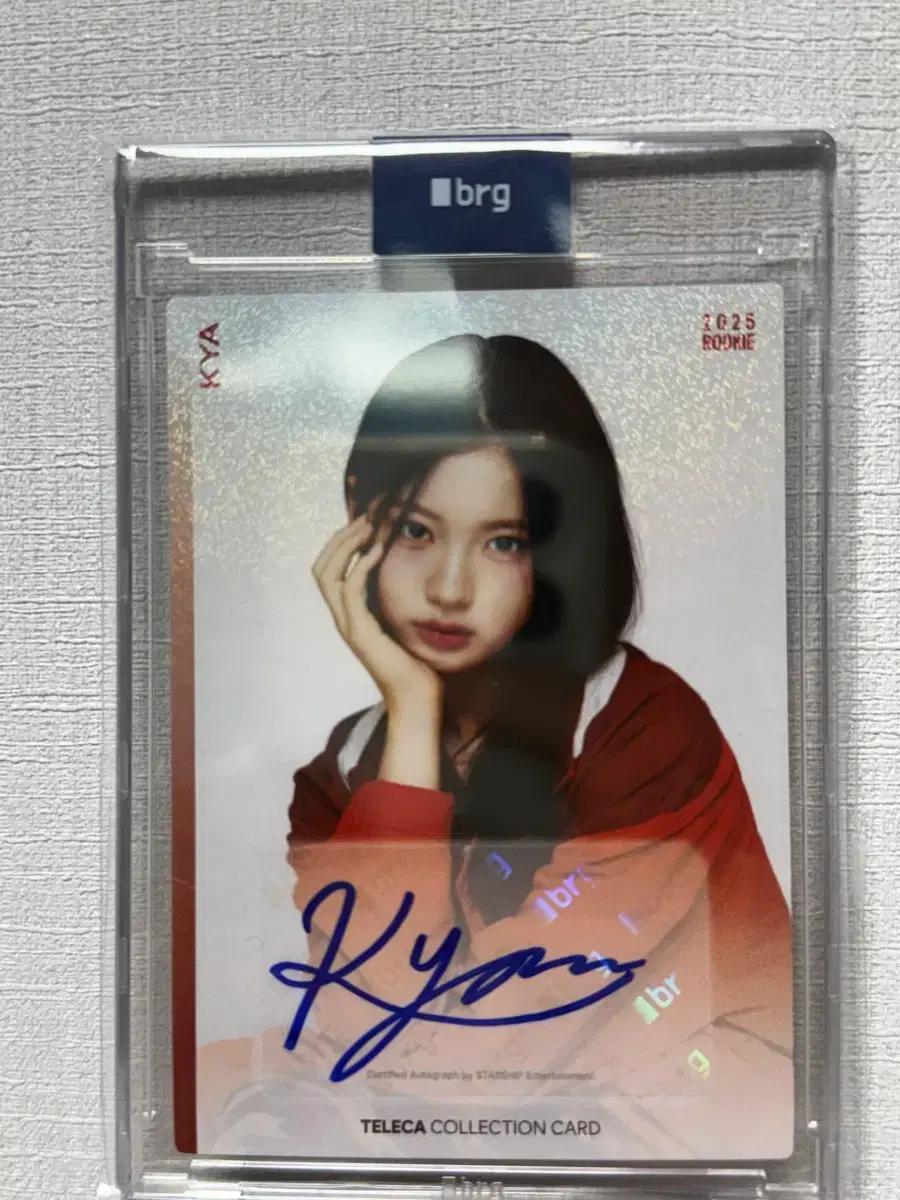 테레카 루키 키키 키야 오토카드입니다!