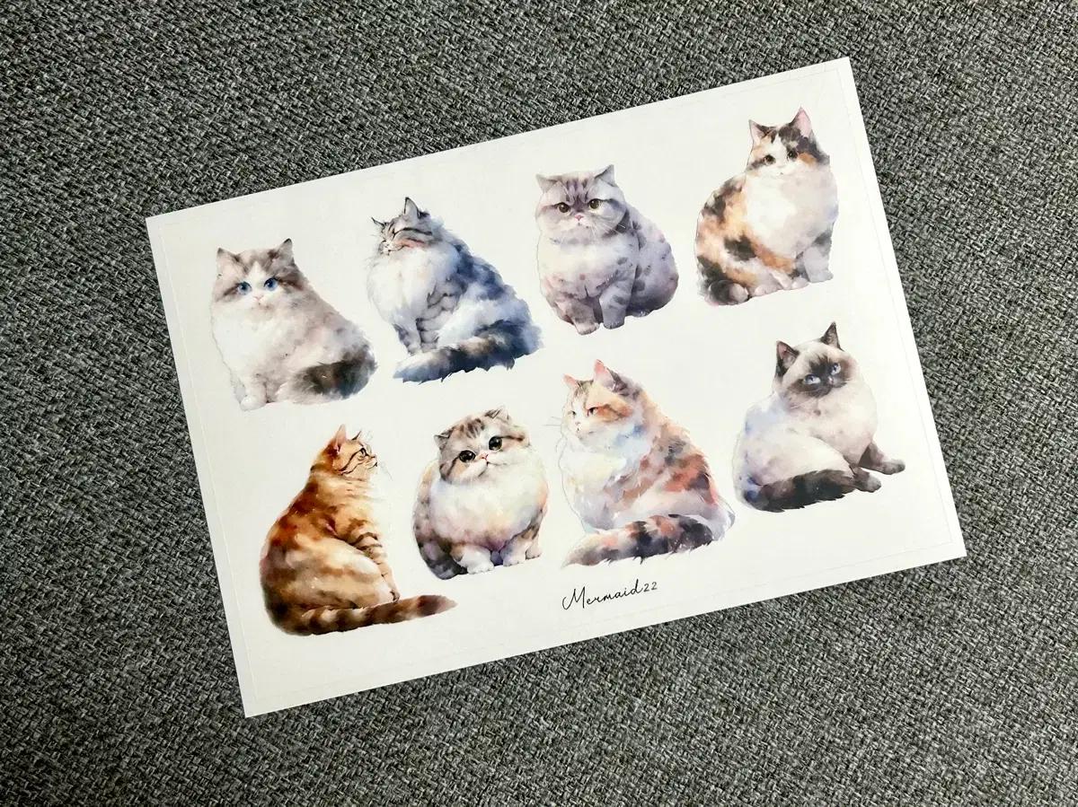 [머메이드22] 고양이 무광후백투명 스티커