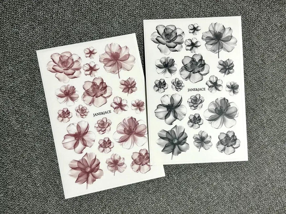 [제인앤제이스] 몽환의 꽃 무광후백 투명스티커