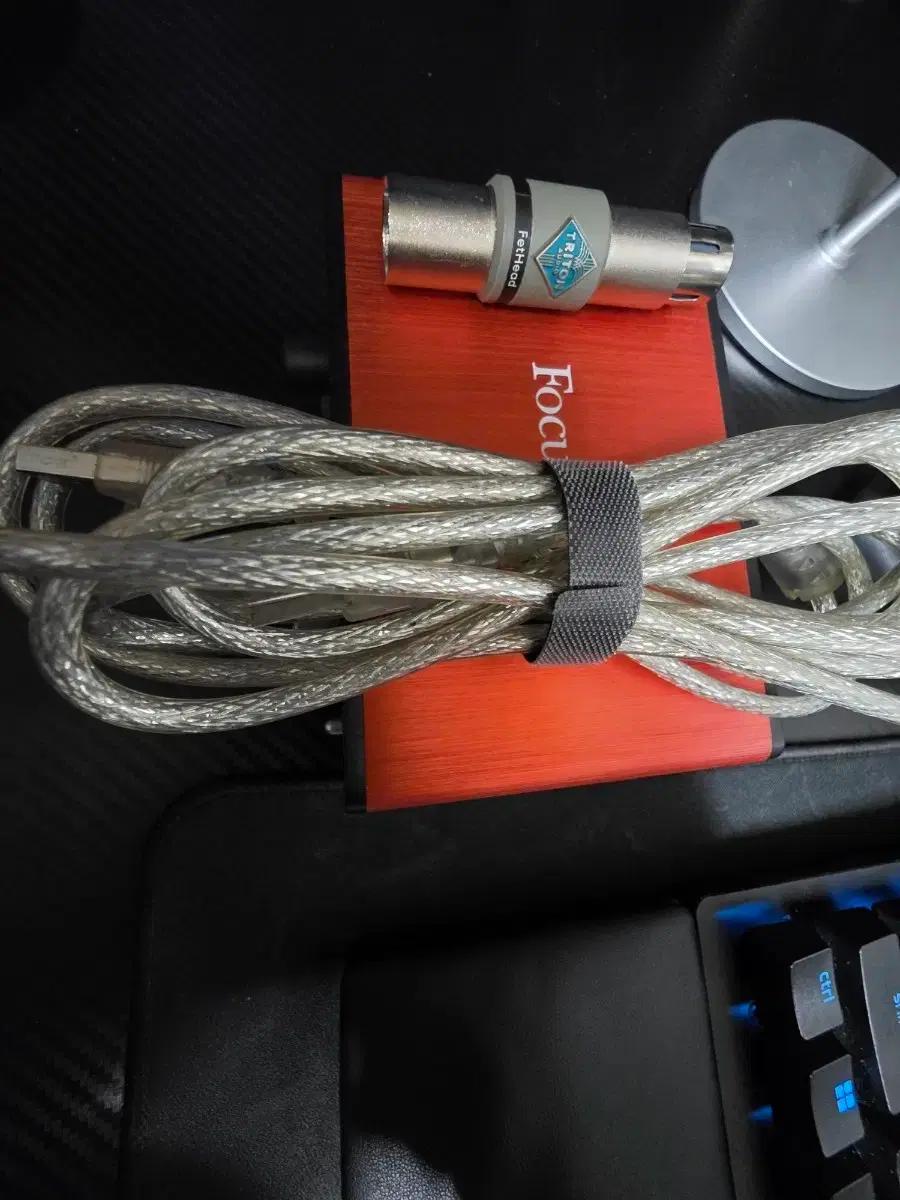 포커스라이트 스칼렛 솔로 2세대 오인페/트라이톤 오디오 펫헤드합계판매