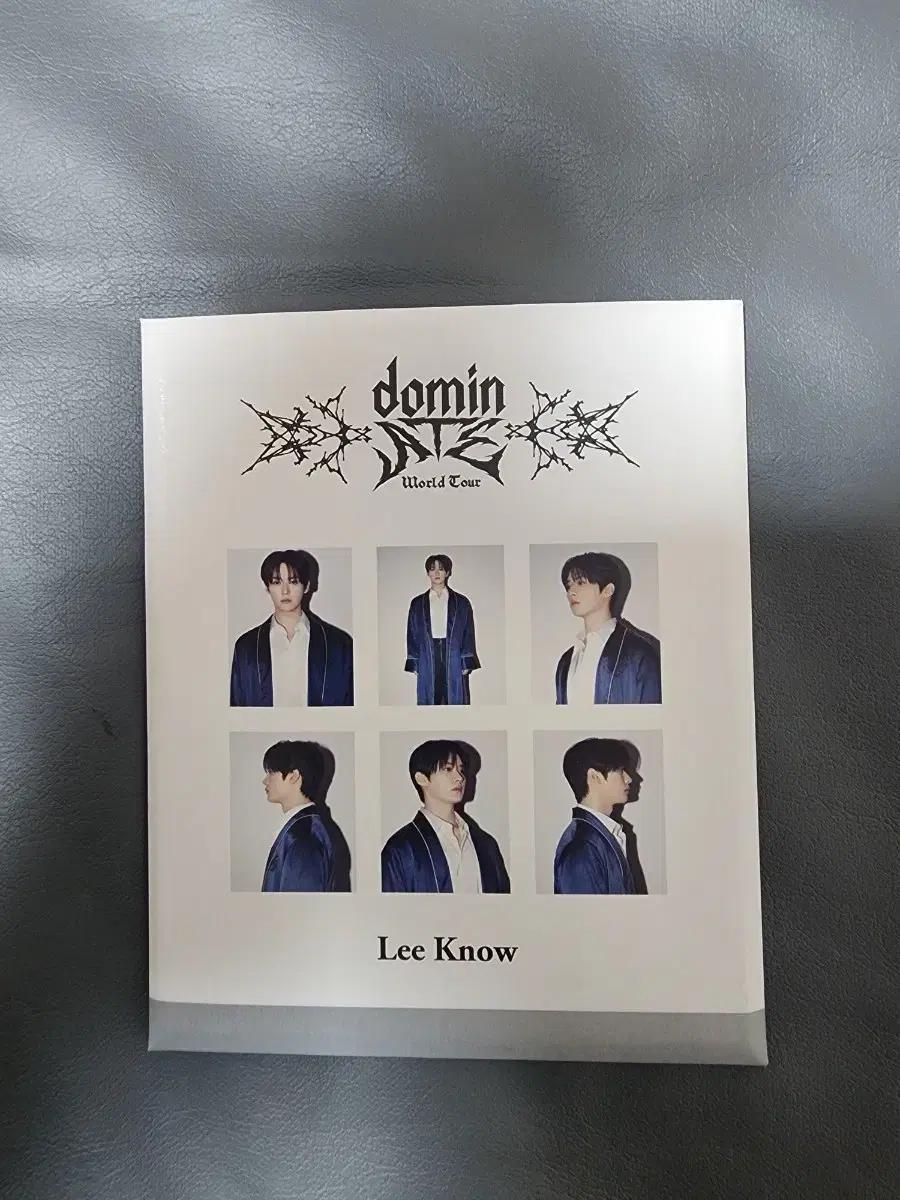 Stray Kids 스트레이키즈 도미노 Lee Know 폴라로이드